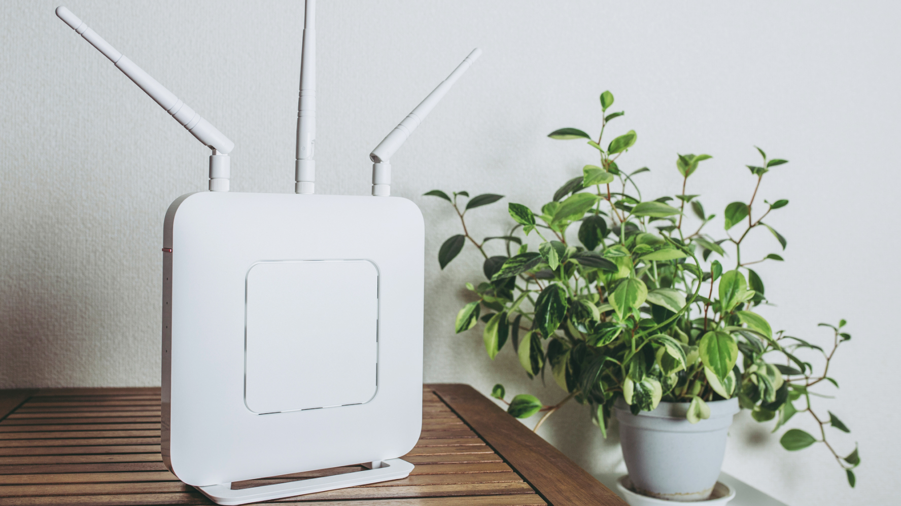 無線ルーターと観葉植物が置かれた設置イメージ