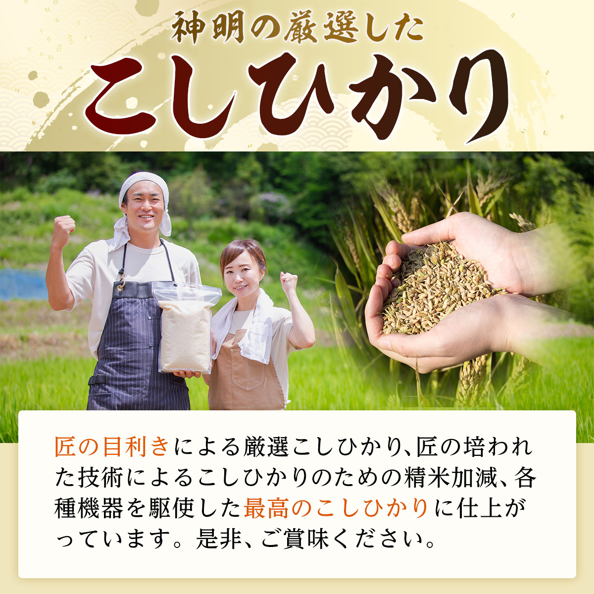 神明の厳選したこしひかり