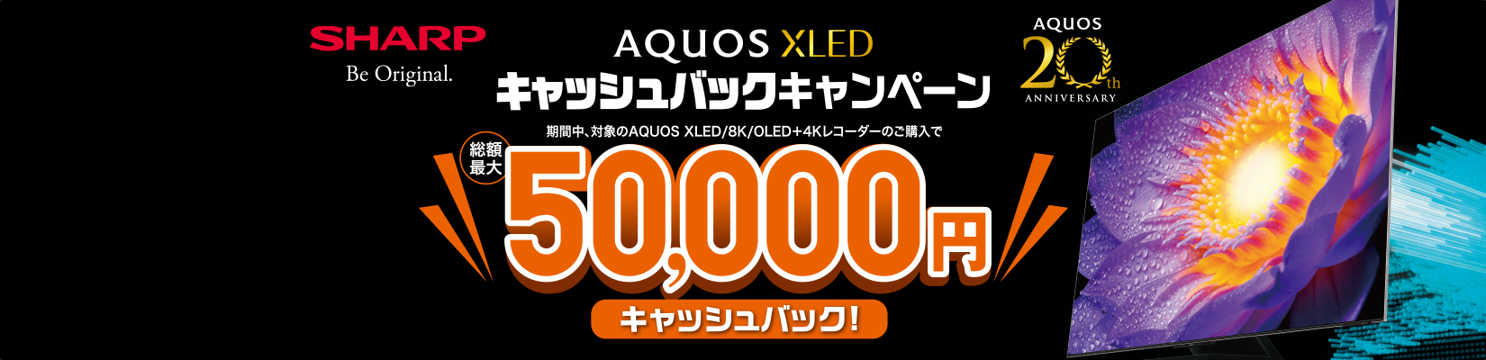 SHARP AQUOS XLED キャッシュバックキャンペーン 総額50,000円キャッシュバック