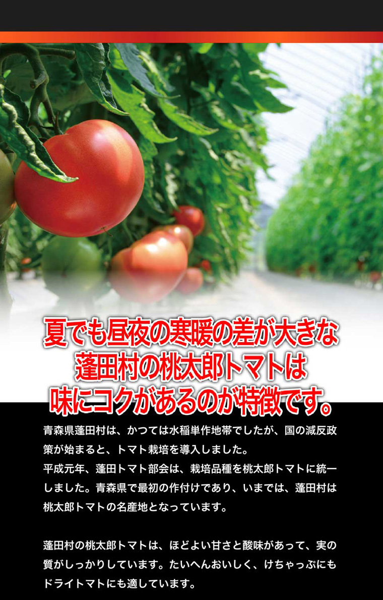 夏でも昼夜の寒暖の差が大きな蓬田村の桃太郎トマトは味にコクがあるのが特徴です。ほどよい甘さと酸味があり、実がしっかりとして大変美味しい蓬田村の桃太郎トマトはけちゃっぷにもドライトマトにも適しています。