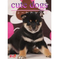 cute dogs08 柴犬