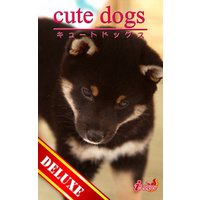 cute dogs DELUXE02 柴犬