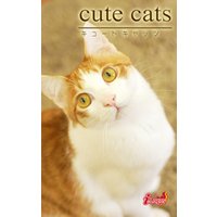 cute cats18 日本猫