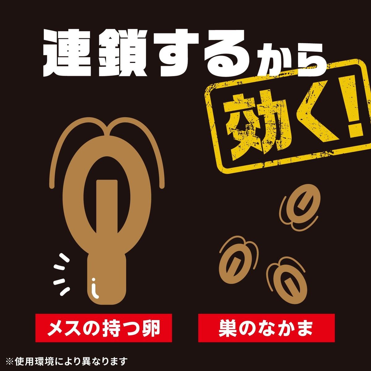 ブラックキャップ 殺虫剤 36個（18個入り×2箱）