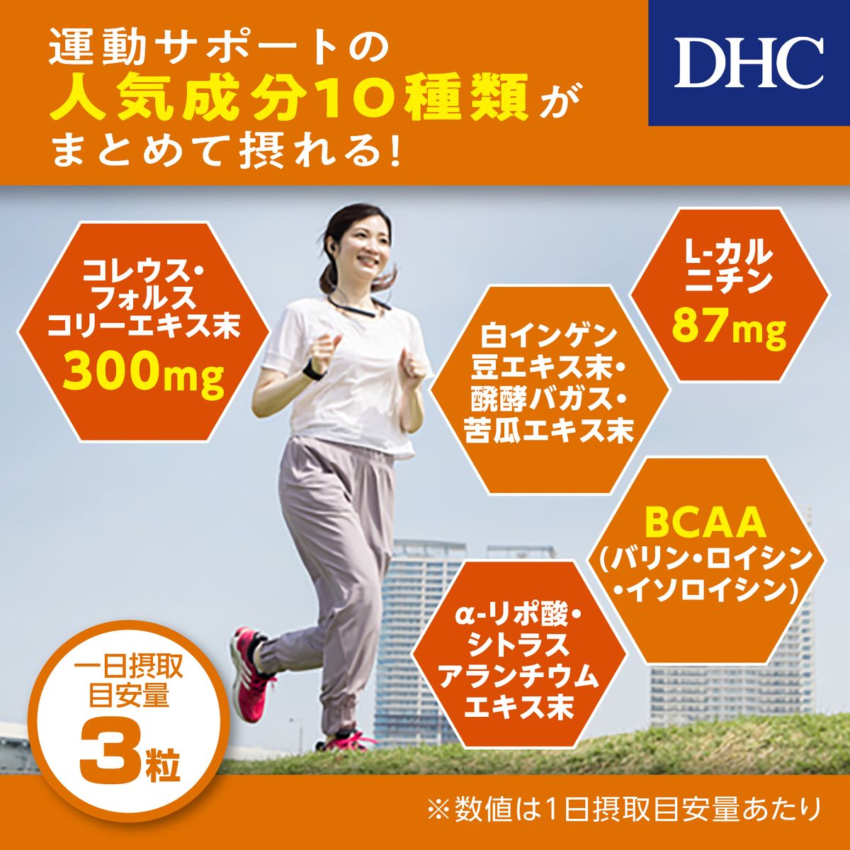 DHC 20日分 ダイエットパワー 健康食品 サプリメント　2袋セット