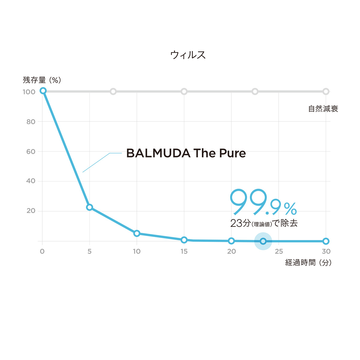 「BALMUDA The Pure」 ザ・ピュア 空気清浄機 ダークグレー