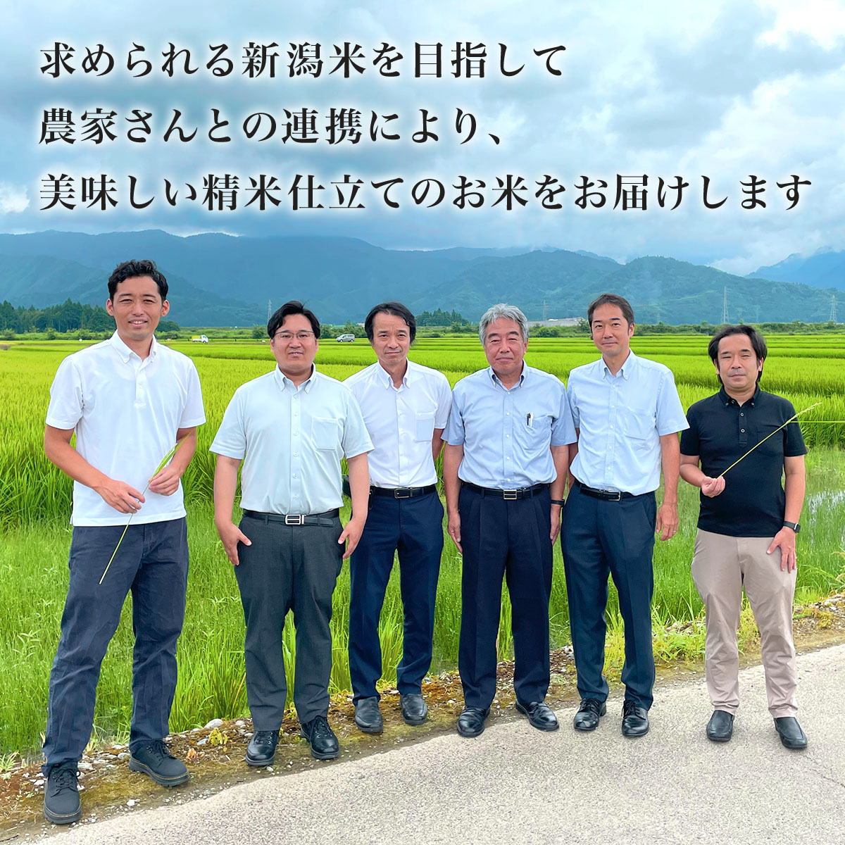 ひかりTVショッピング | □令和6年産 本場 新潟県 魚沼産 ひかりTVショッピング | □令和6年産 本場 新潟県 魚沼産