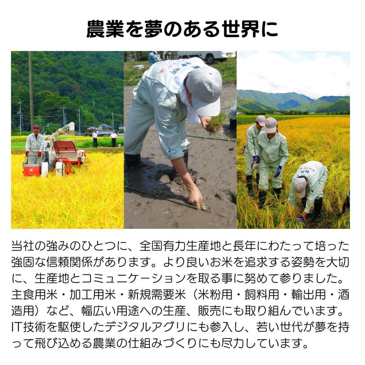 ひかりTVショッピング | ○令和6年産 特別栽培米 宮城県産 ひかりTVショッピング | ○令和6年産 特別栽培米 宮城県産