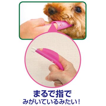 ひかりｔｖショッピング Petkiss 指サック歯ブラシ ライオン商事 株式会社