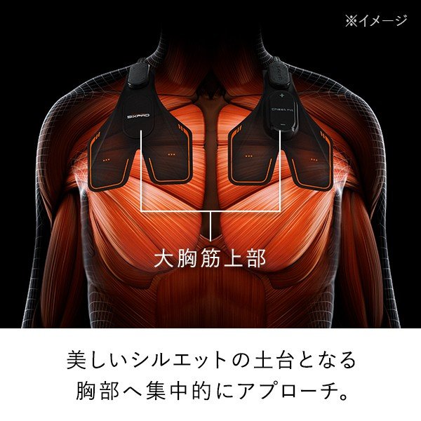 【即納】 SIXPAD Chest Fit シックスパッド チェストフィット EMS 充電式 大胸筋 胸 トレーニング 筋トレ 正規店