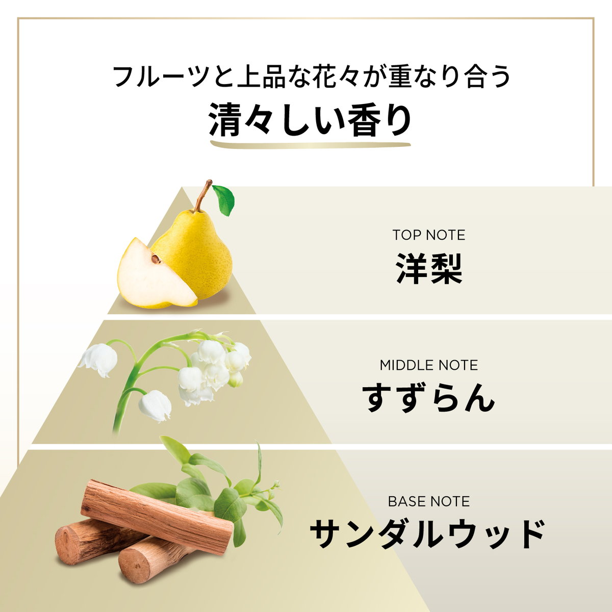 ひかりTVショッピング | パンテーン エアリーふんわりケア