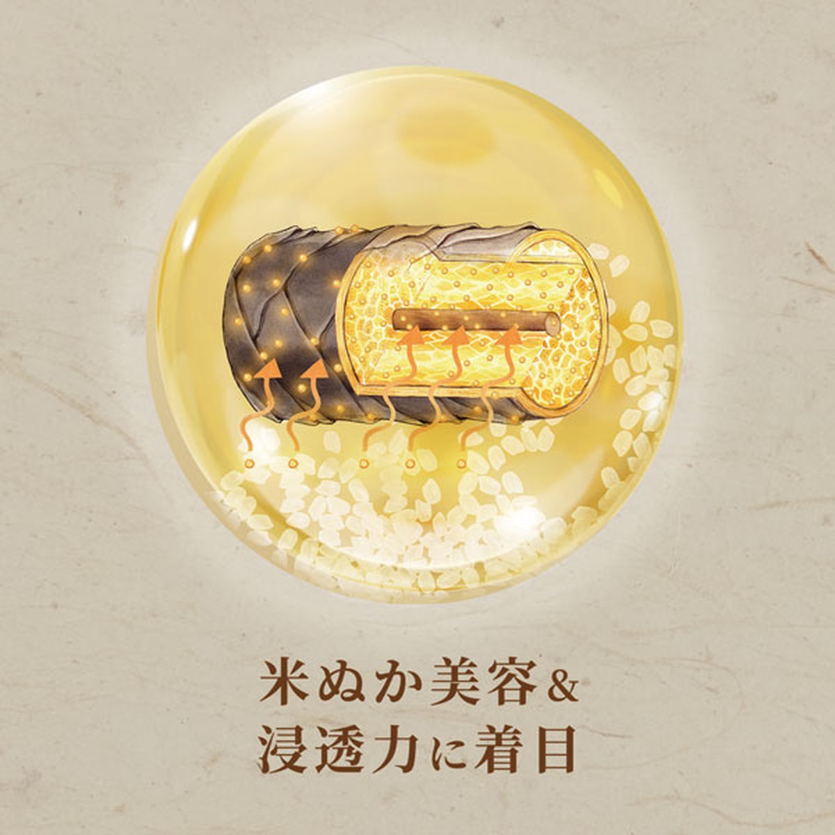 和の実 by ヘアレシピ さらつや シャンプー 詰め替え 300ml×12袋