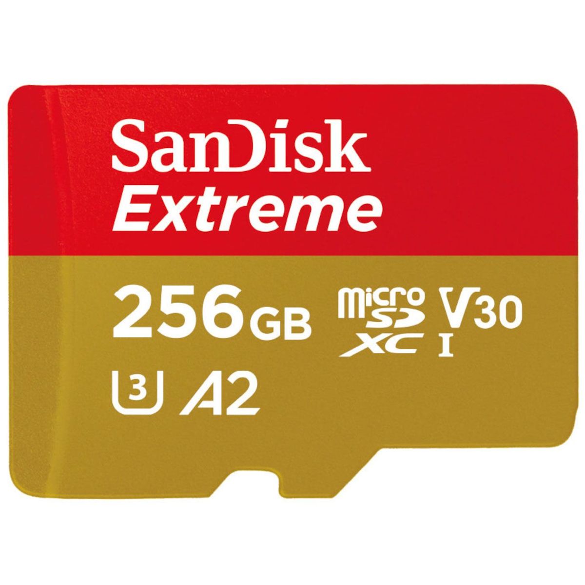 microSDXC Extreme（100MB／秒）＜256GB＞