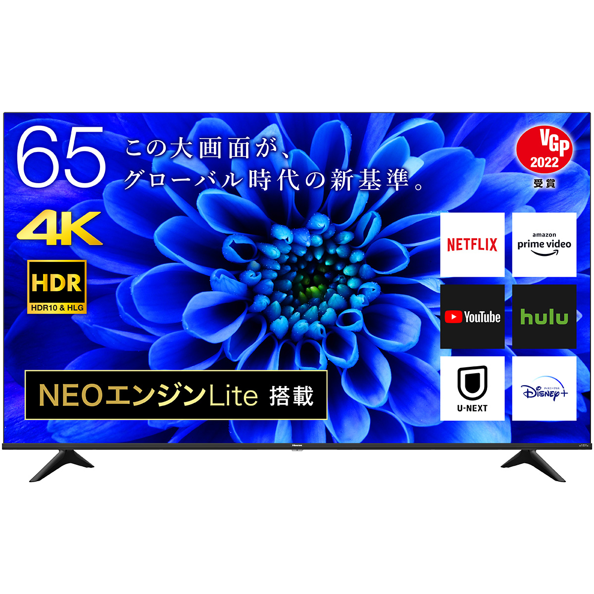 65V型４K液晶TV　BS/CS4Kチューナー内蔵　E6Gシリーズ【配送のみ 設置なし 軒先渡し】