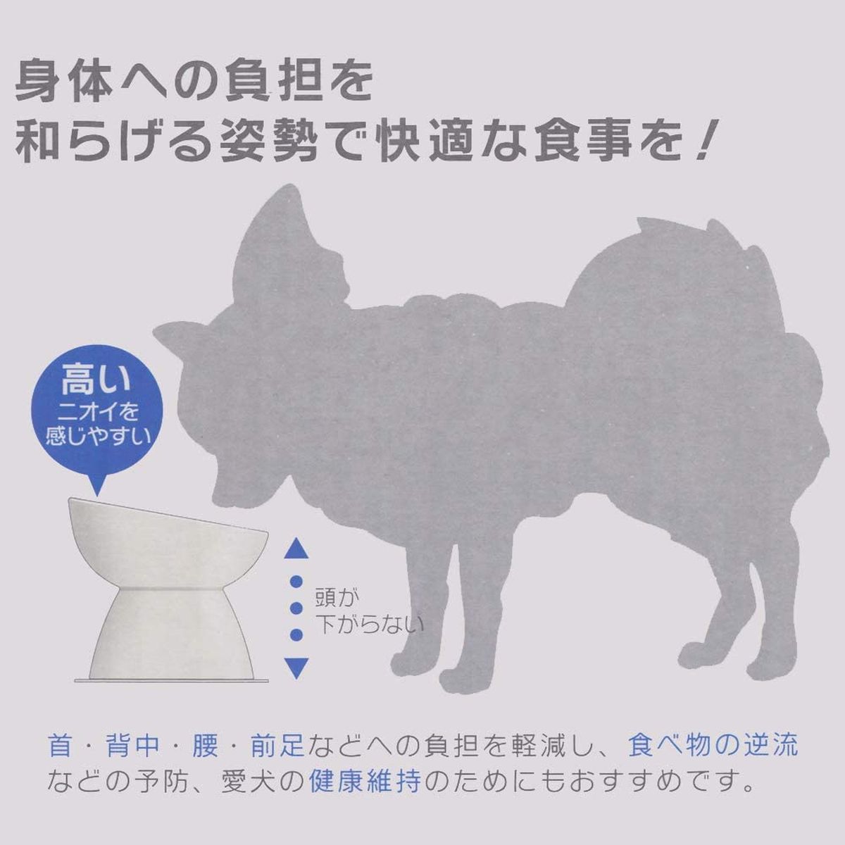 ひかりｔｖショッピング 超小型犬用食器 ミント 陶磁器製 ペットエサ入れマット付き Chob1 スケーター