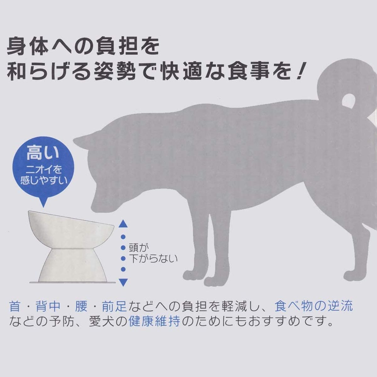ひかりｔｖショッピング 小型犬用食器 ミント 陶磁器製ペットエサ入れマット付き Chob2 スケーター