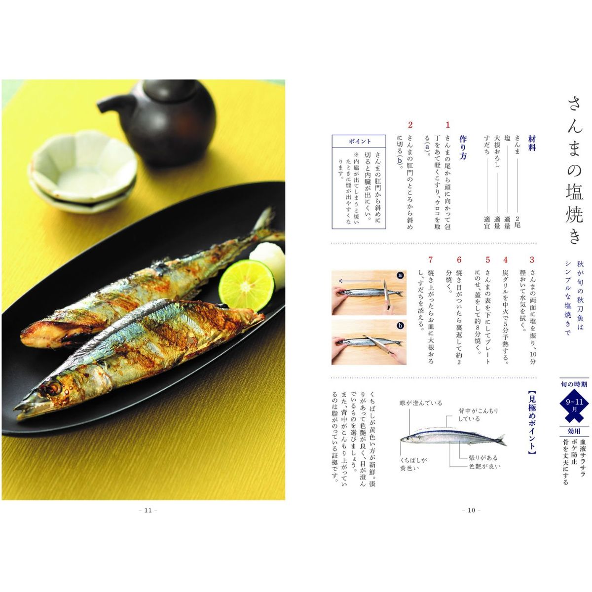 ひかりTVショッピング | AUX 大人の焼魚 炭グリル 魚焼き