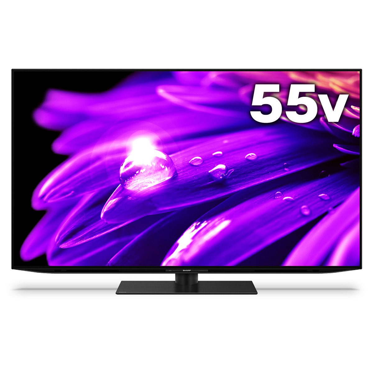 AQOUS 55V型4K有機ELテレビ　ES1 高輝度/HDR/Google TV/ネット動画/HDMI2.1/外付HDD録画/ファミリンク/【大型商品（設置工事可）】
