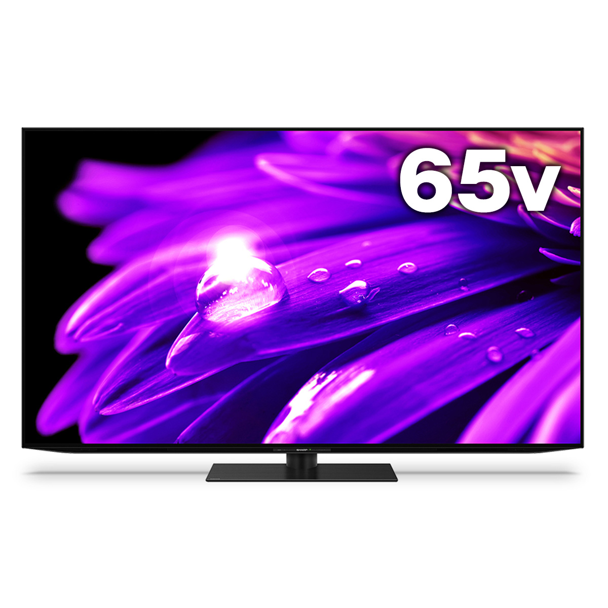 AQOUS 65V型4K有機ELテレビ　ES1 高輝度/HDR/Google TV/ネット動画/HDMI2.1/外付HDD録画/ファミリンク/【大型商品（設置工事可）】