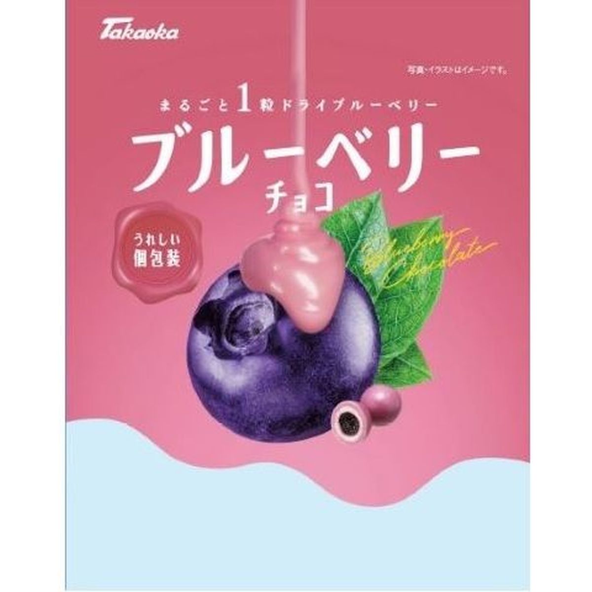 【12個入リ】高岡食品工業 ブルーベリーチョコ 90g