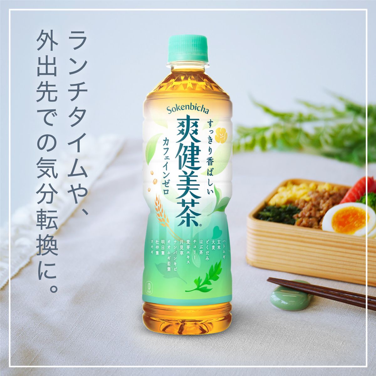 ひかりTVショッピング | 爽健美茶 ラベルレス 600mL×24本(1箱
