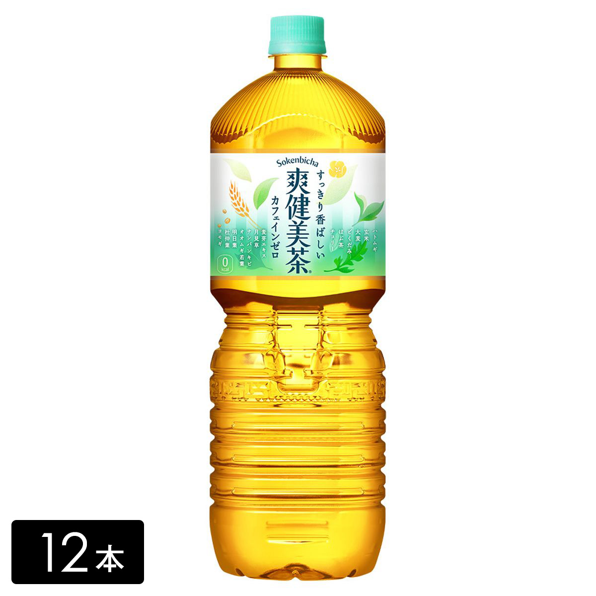 爽健美茶 2L×12本(6本×2箱)