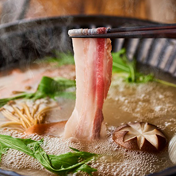 【送料無料】タイシコーポレーション イベリコ豚水炊き