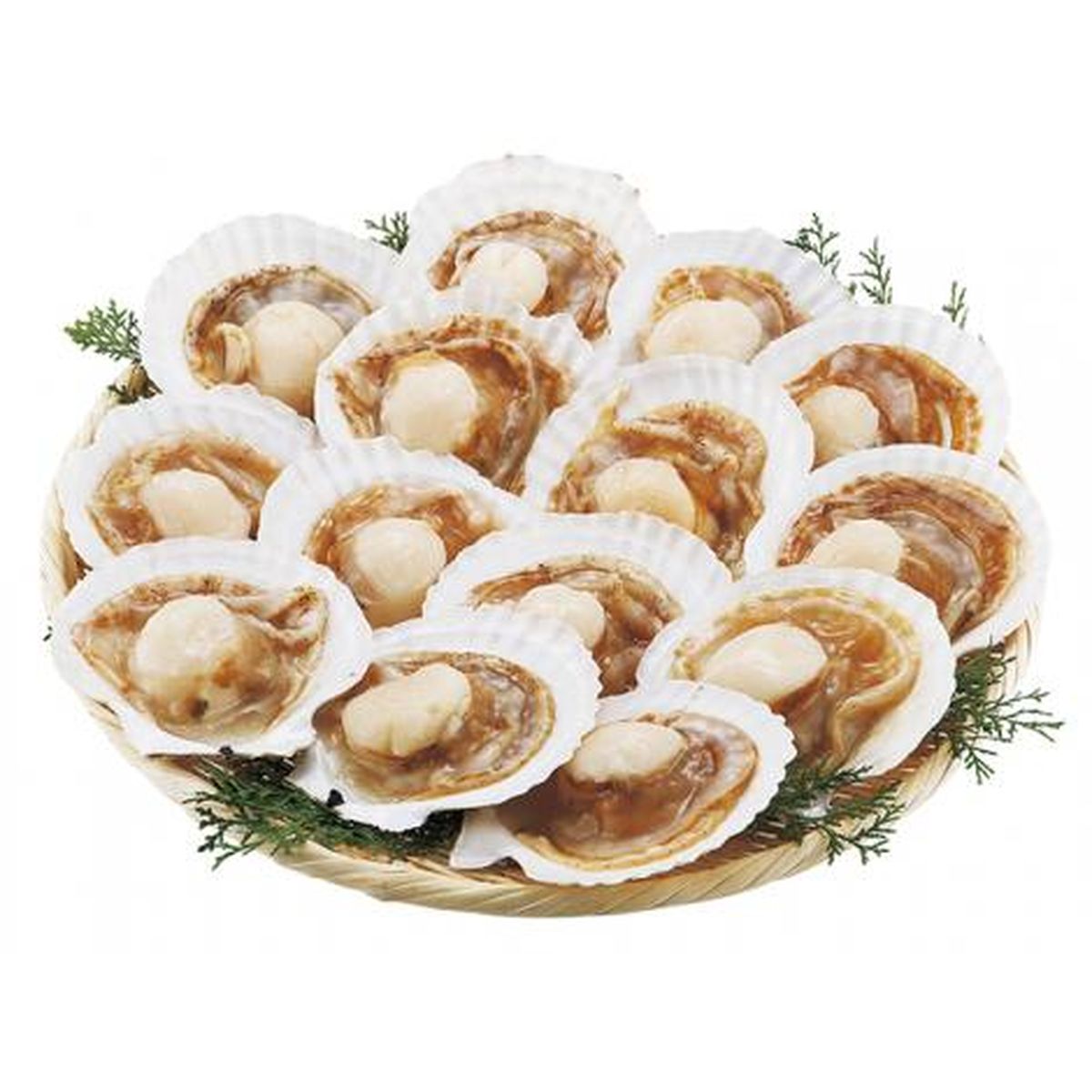 ひかりＴＶショッピング　北海道産　帆立片貝（14枚）(H181201)｜小樽協和食品