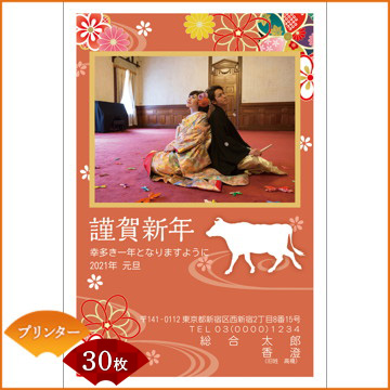 ひかりｔｖショッピング 年賀状印刷 年賀はがき代込み 丑年 21年 令和三年 写真フレームタイプ プリンター用紙 30枚セット 3036 Nttぷらら