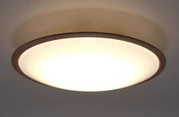 天井照明 アイリスオーヤマ 照明器具の人気商品・通販・価格比較 