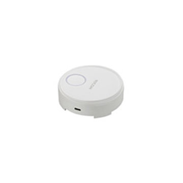 RICOH Wireless Projection Option Button2