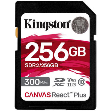 SDXC 256GB Canvas React Plus Card