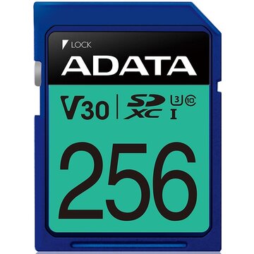 SDXC 256GB C10 V30