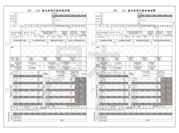 PA1134GA 電子申告用源泉徴収票 R05(100名)