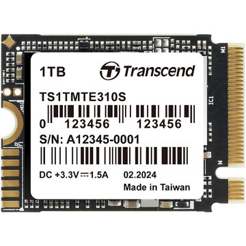 1TB M.2 2230 PCIe SSD 310s