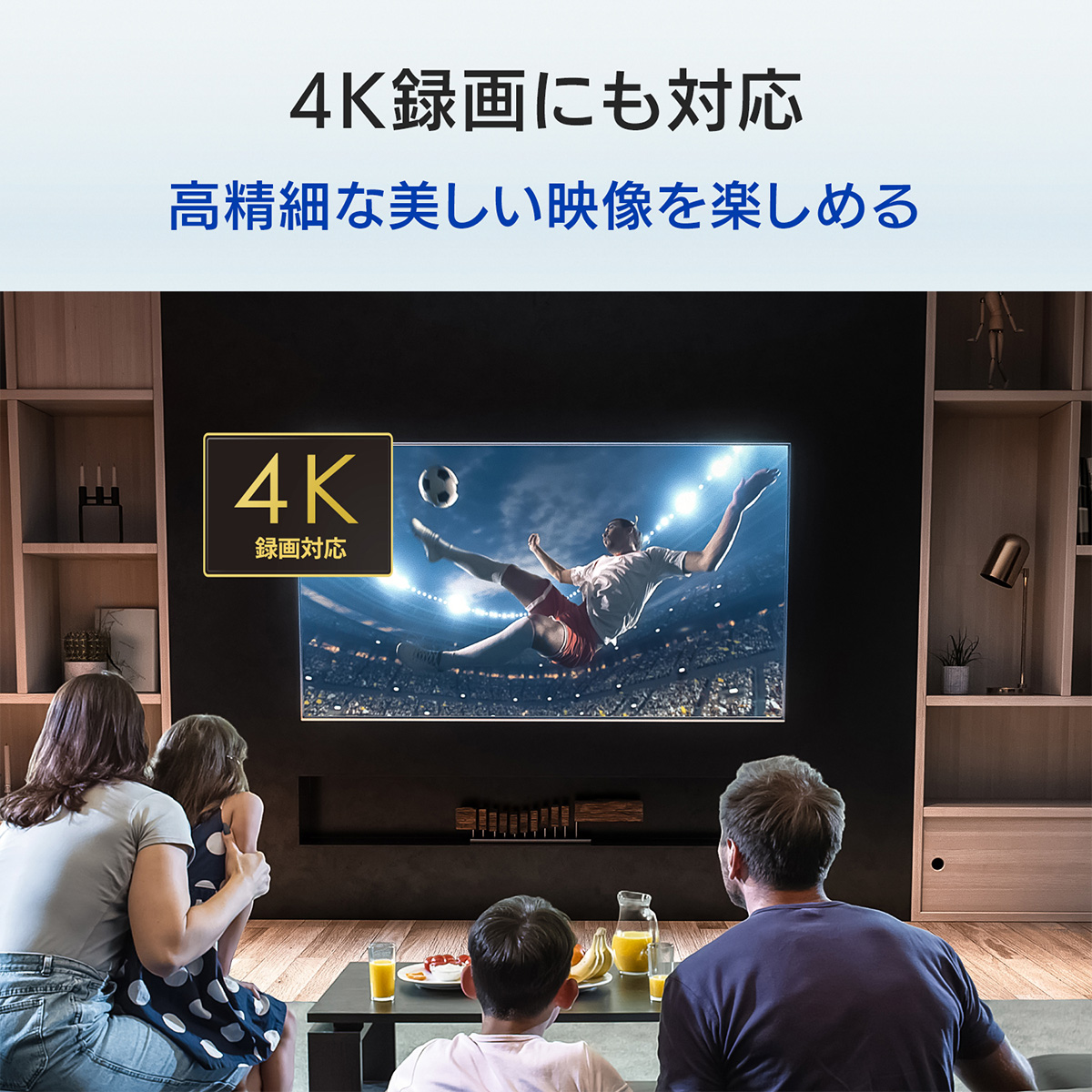 テレビ録画&パソコン両対応 外付けハードディスク 4TB