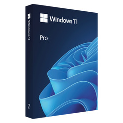 ◇Windows 11 Pro 英語版